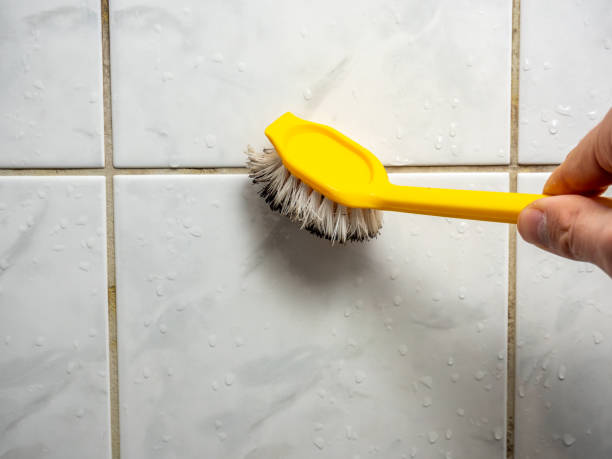 Trusted Hercules, CA Mold Remediation Experts