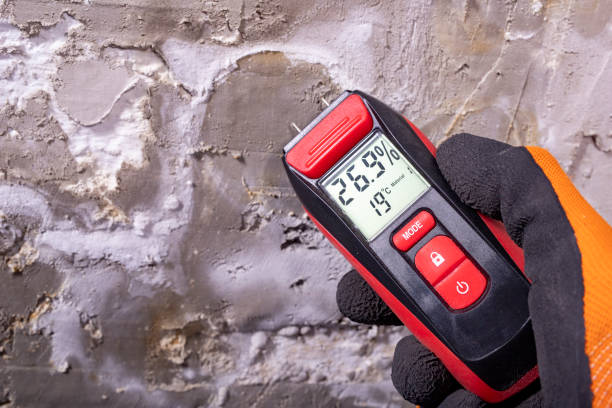 Best Kitchen Mold Remediation in Hercules, CA